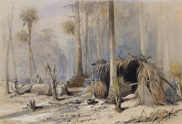 Il cantiere di cipressi, fiume Ocklawaha, Florida