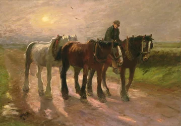 Verso Casa