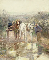 Cavalli e carro