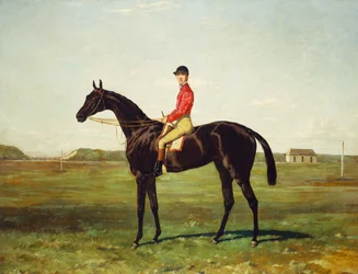 Un cavallo da corsa con fantino sulla pista di Newmarket