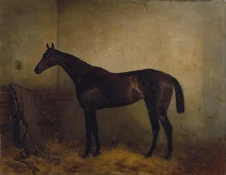 Chaplet, una cavalla da corsa baia in una stalla, c.1877