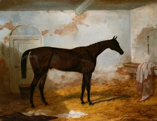 Il puledro baio di Mr A.W. Hill "Sweetmeat" in una stalla, 1845