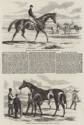 Le Due Mila Poste a Newmarket