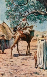 A Bornu