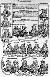 Albero genealogico, l