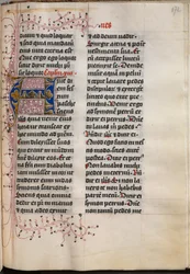 Libro dei Vangeli con Ritratti degli Evangelisti: Iniziale Decorata