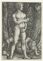 Adamo