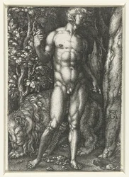 Adamo