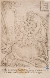 Eracle che cattura la cerva di Ceryne, dalla serie:  Le fatiche di Ercole (13)