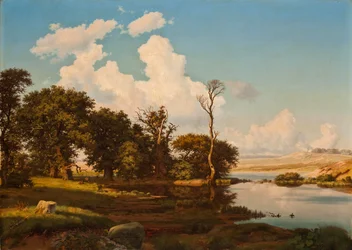 Danese: Paesaggio danese, alberi di quercia vicino a un lago. Paesaggio danese, alberi di quercia vicino a un lago.