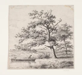 Querce presso un lago