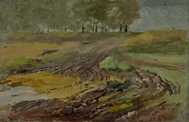 Tracce di carri nel campo