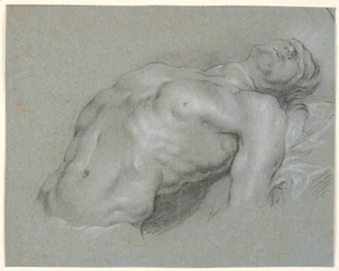 Parte superiore del corpo di un modello maschile fortemente inclinato all