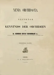 Pagina del titolo