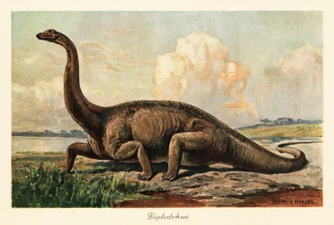 Diplodocus longus estinto nelle pianure