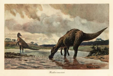 Hadrosauri o dinosauri a becco d