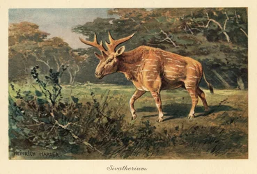 Sivatherium giganteum in una radura nella giungla