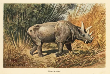 Uintatherium anceps in una radura della giungla