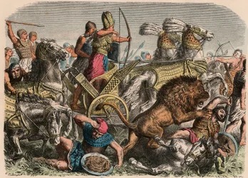 Antico Egitto: il faraone Ramses II combatte contro i leoni da guerra dell