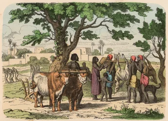 Antico Egitto: agricoltura e caccia