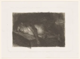 Scimmia sdraiata e dormiente