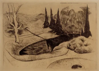 Parco a Dilborn, 1914