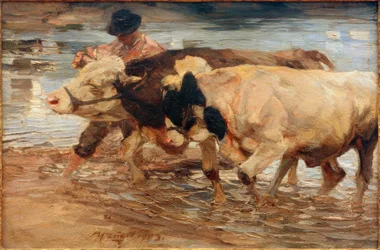 Contadino con mucca e bue