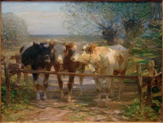 Mucche al cancello