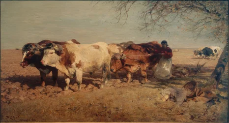 Carro trainato da buoi