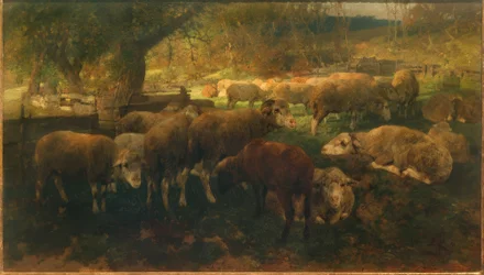 Pecore sotto gli alberi