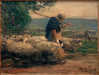Pastorella con gregge