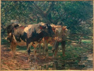 Nero e rosso pezzato