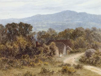 Hindhead da Sandhills, Witley
