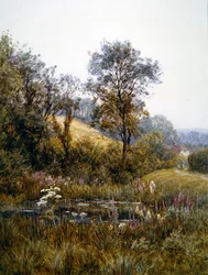 Raccogliere fiori vicino allo stagno