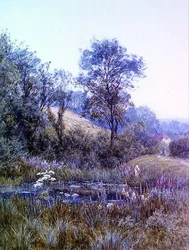 Raccogliendo fiori vicino allo stagno