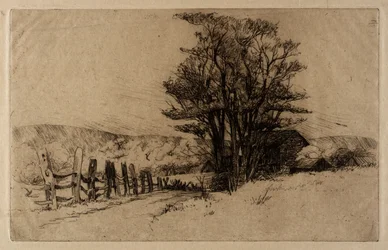 Primavera in fattoria