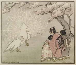 Pavone bianco, 1914