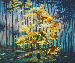 Faggio autunnale, 2008
