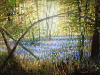 Bluebell Glade, 2024 (olio su tela)