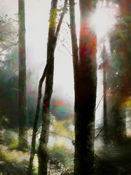 Osa di Credere, 2018