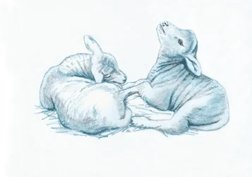 Spiriti Gentili IX