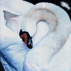 Cuore centrato, 2016