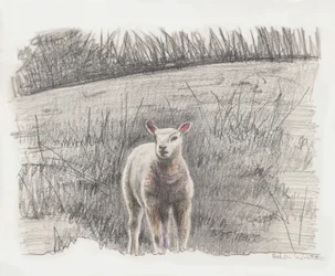 Lamby, 2016
