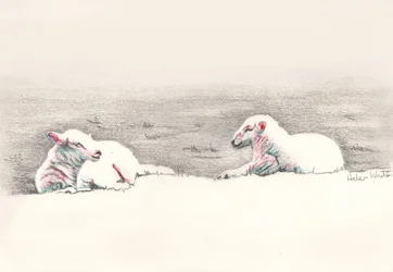 Sonnecchiante, 2016