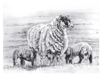 Orgoglioso, 2012