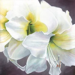 Puro potenziale, 2016