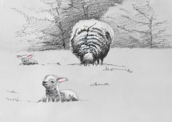 Sheep Trio, 2022