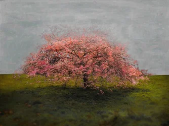 Bellezza Solitaria, 2019
