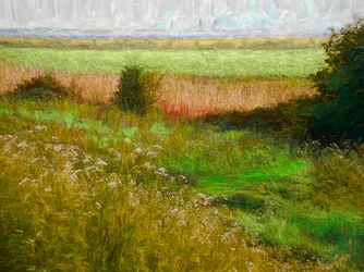Prato estivo, 2019