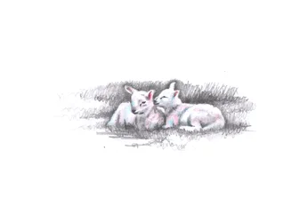 Gemelli, 2016